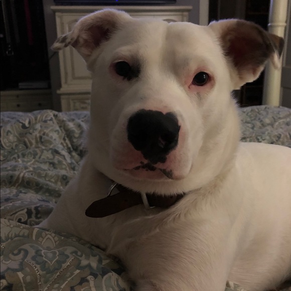 Thank you ❤️ - Picture 11 of 12